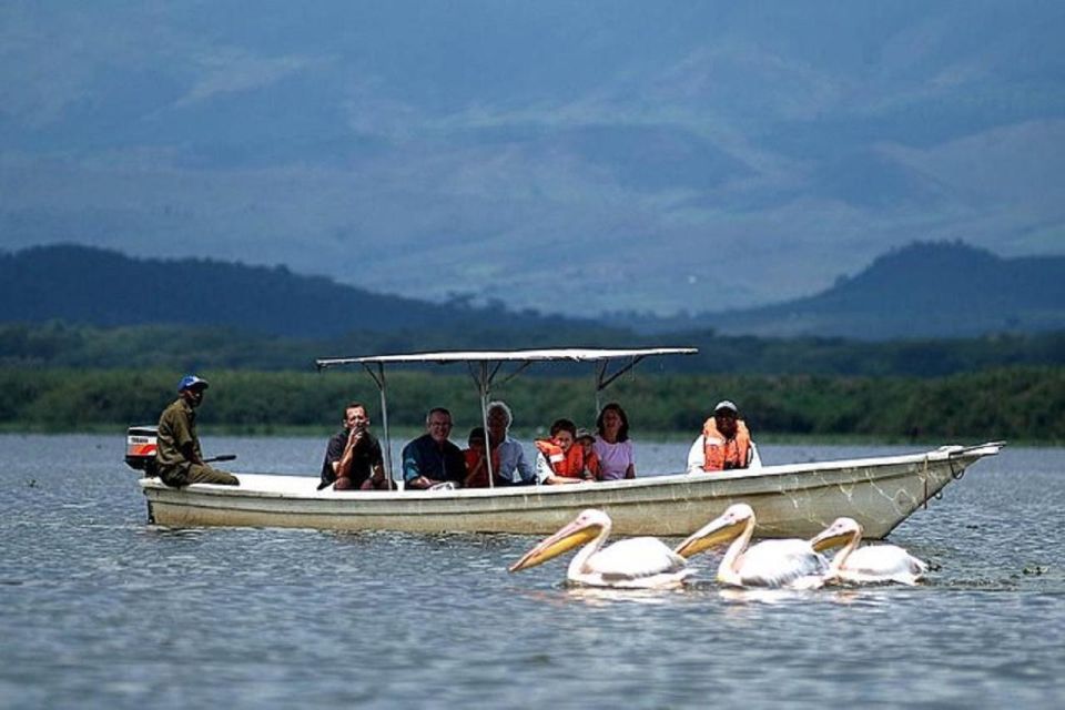 Macaw Safaris