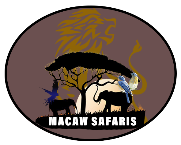 MACAW-SAFARIS logo