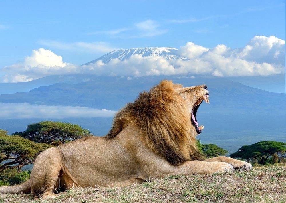 Amboseli