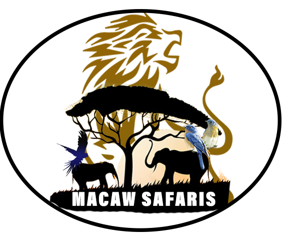 MACAW SAFARIS KENYA
